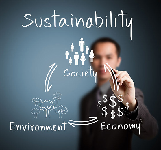 One way Southern Builders, Inc. supports sustainable construction is by promoting doors made with recycled materials in some of our wood composite interior doors